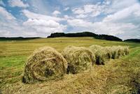 Moisture Meter for hay and straw - DRAMINSKI HMMc